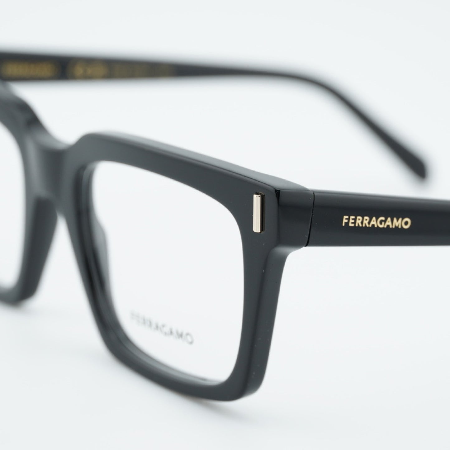 Salvatore Ferragamo Eyeglass Frames SF2993 001 53-19-145