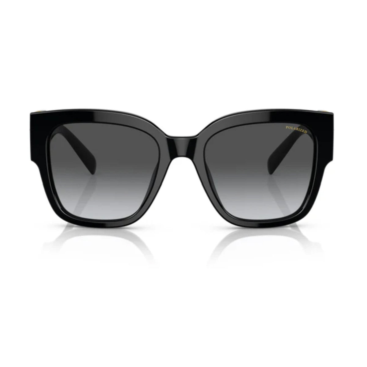 Versace Sunglasses VE4437U GB1/T3 54-20-140