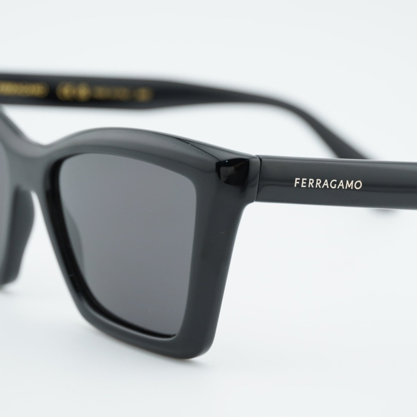 Lentes de Sol Salvatore Ferragamo SF2039SE 001 53-17-145