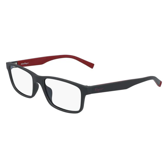 ARMAZON OFTALMICO FERRAGAMO SF2848 417 56-17-150