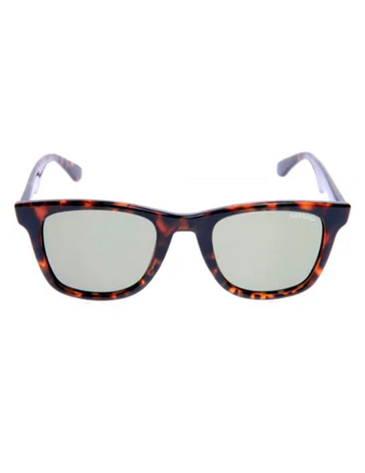 LENTE DE SOL CARRERA 6000/L/S 27ECC MARRON