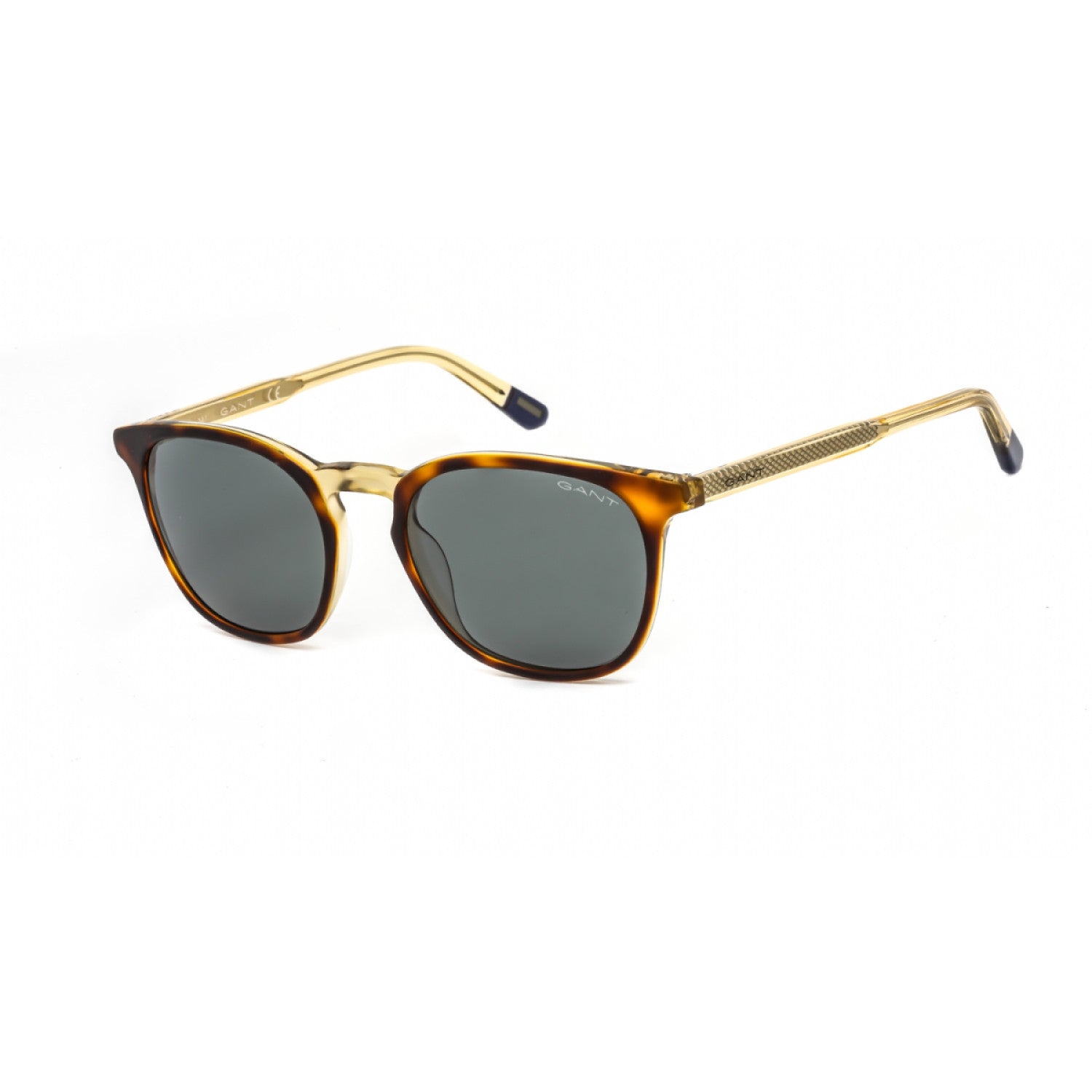 Lentes de Sol Gant GA7102 55N 51-19-140