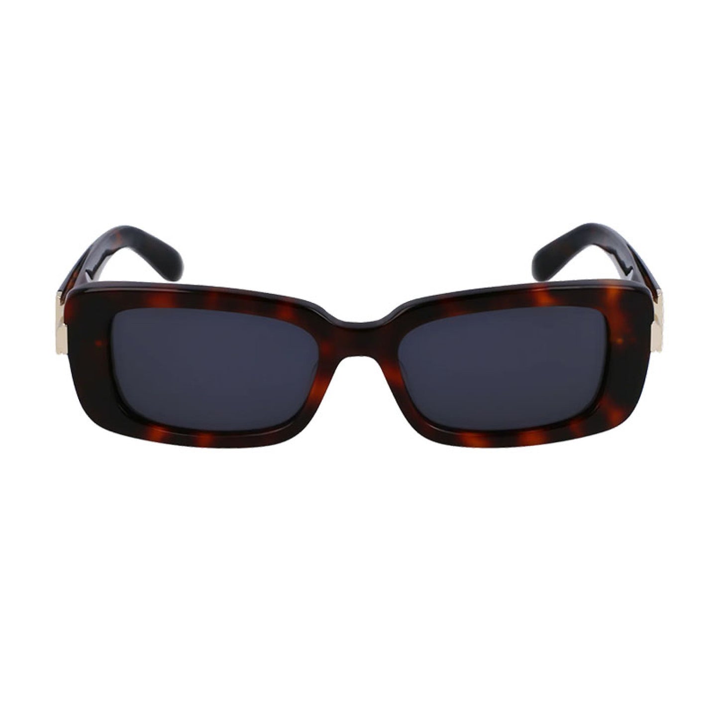 Lentes de Sol Salvatore Ferragamo SF1105S 240 52-17-135