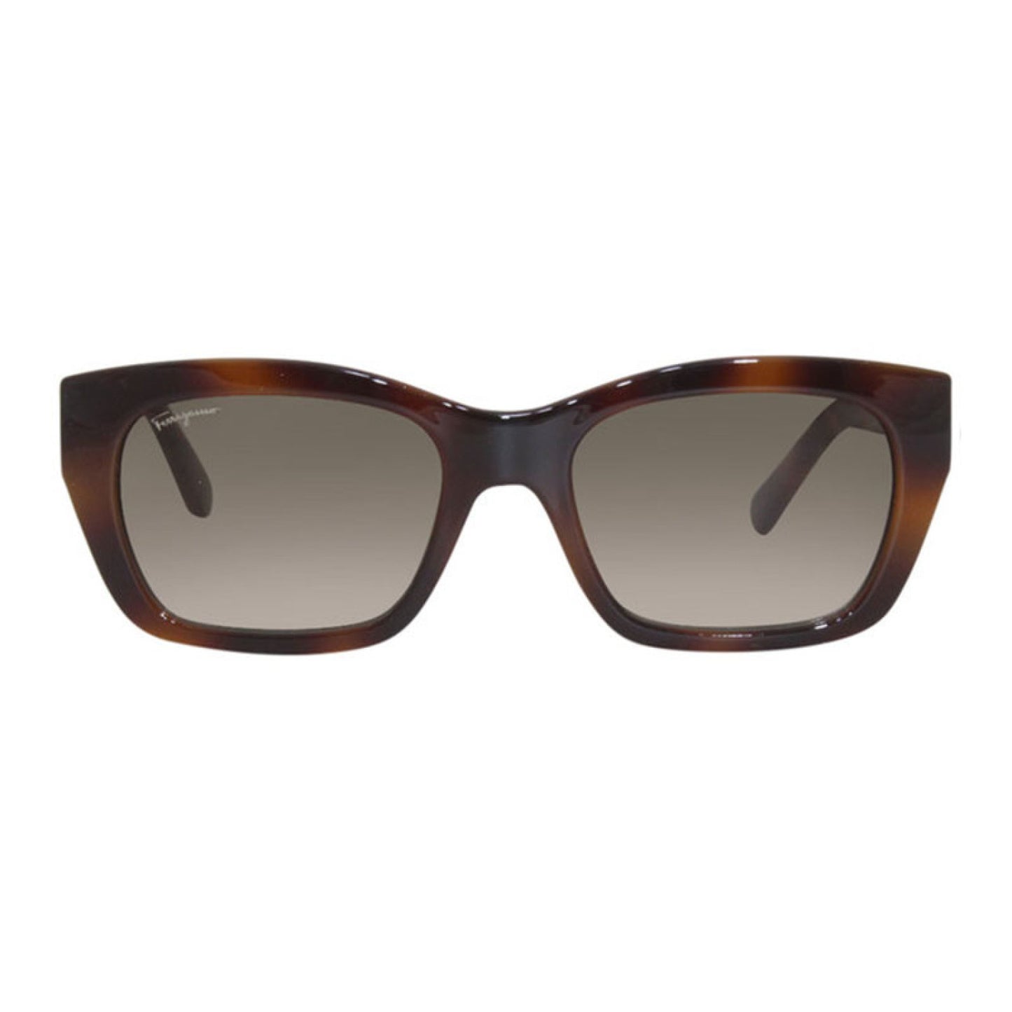 Lentes de Sol Salvatore Ferragamo SF1012S 214 53-19-140