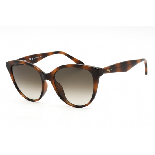 Lentes de Sol Salvatore Ferragamo SF1073S 240 54-17-140