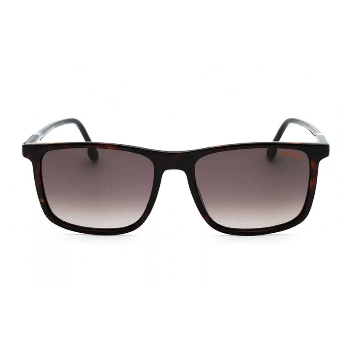 Lentes de Sol Carrera CARRERA 231/S 0086HA 55-18-145