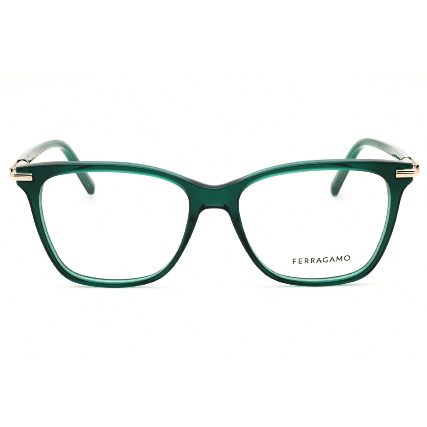 Armazón Oftálmico Salvatore Ferragamo SF3013 317 53-15-140