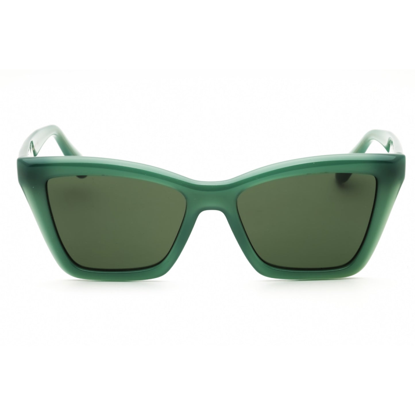 Lentes de Sol Salvatore Ferragamo SF2039SE 339 53-17-145