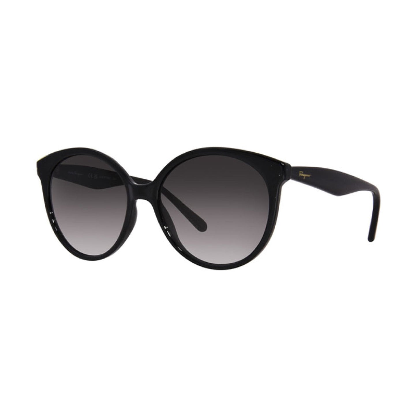 Lentes de Sol Salvatore Ferragamo SF1071S 001 58-17-140
