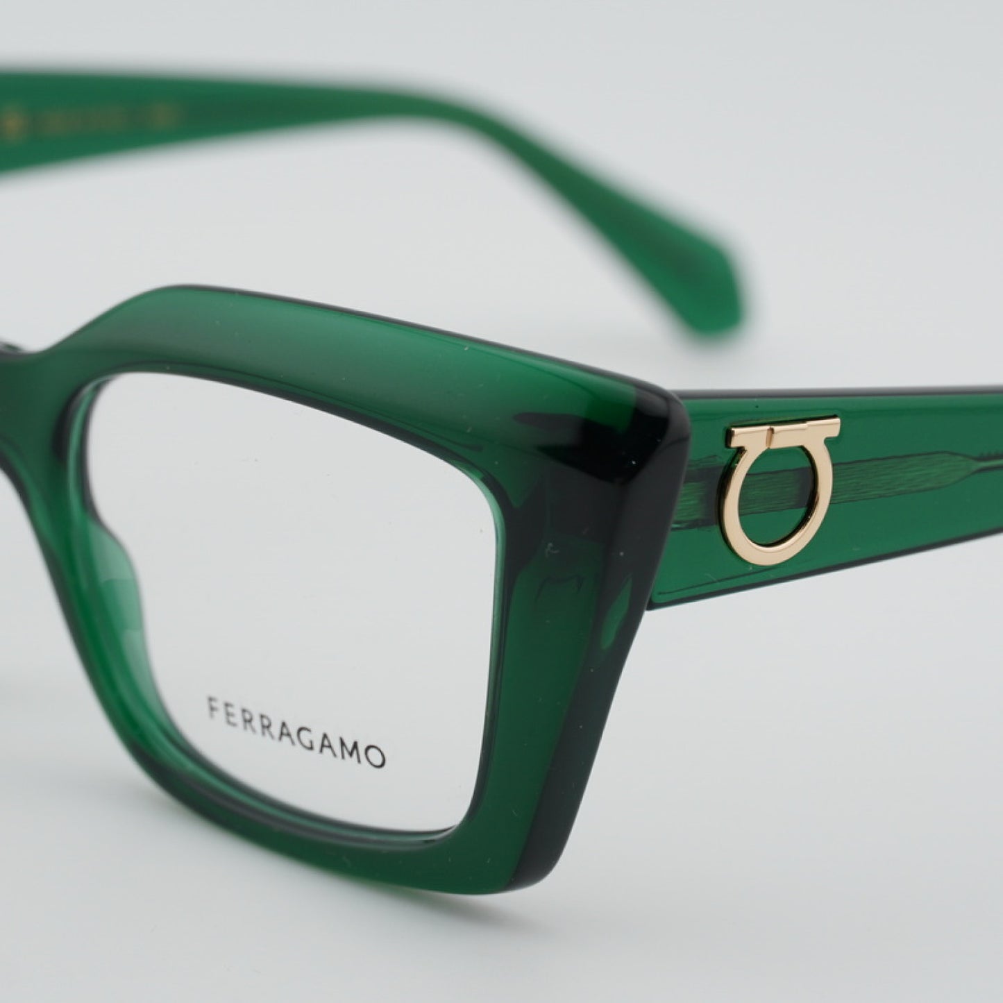 Salvatore Ferragamo Eyeglass Frame SF3008 317 50-19-140