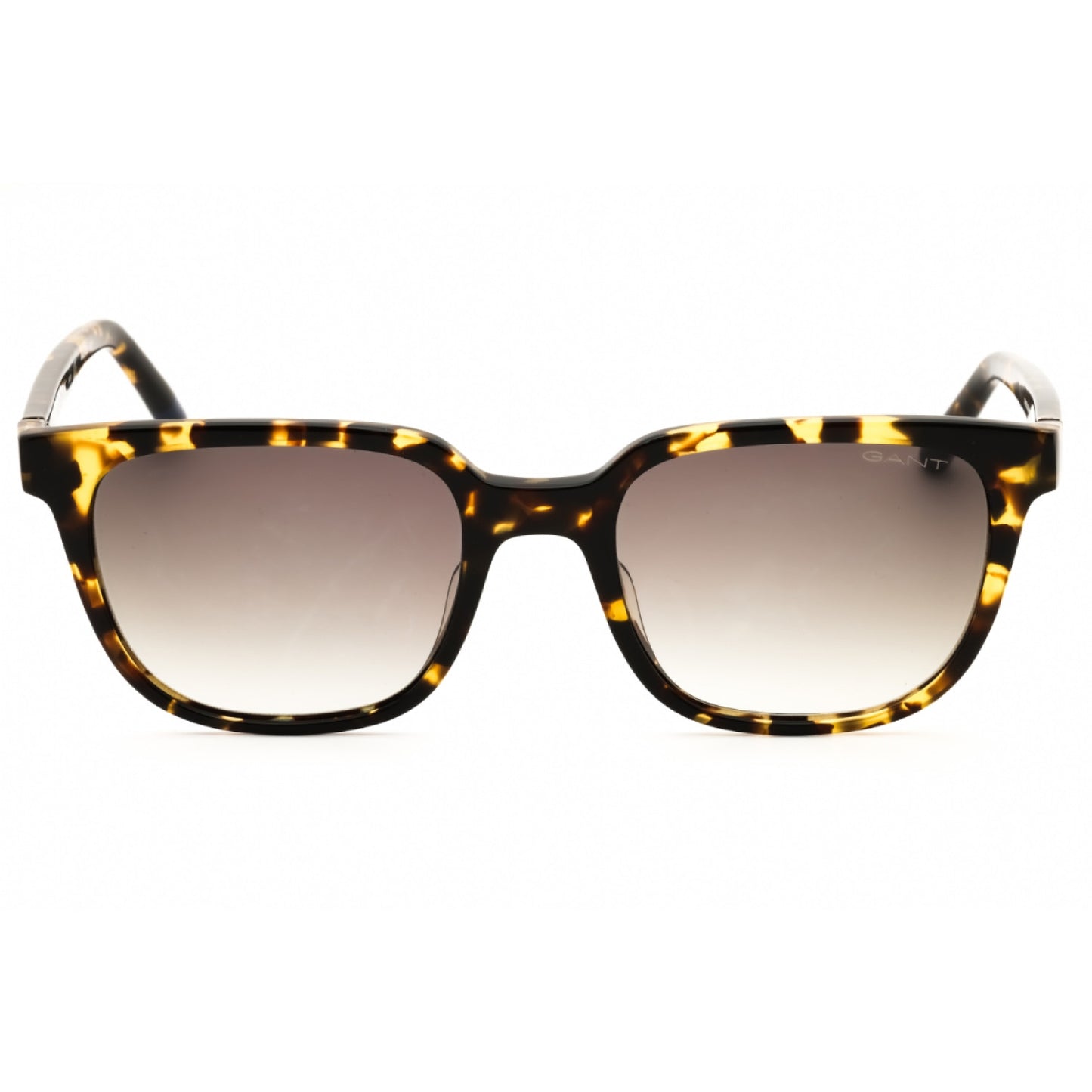 Lentes de Sol Gant GA7120 56N 53-20-145