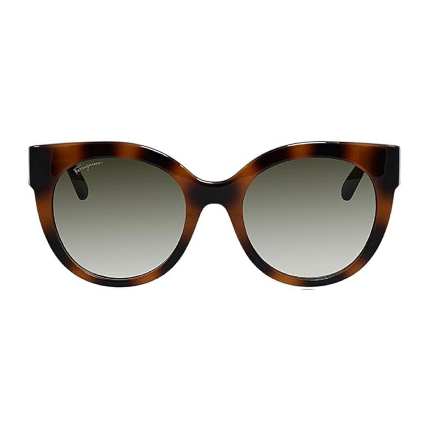 Lentes de Sol Salvatore Ferragamo SF1031S 214 53-20-140