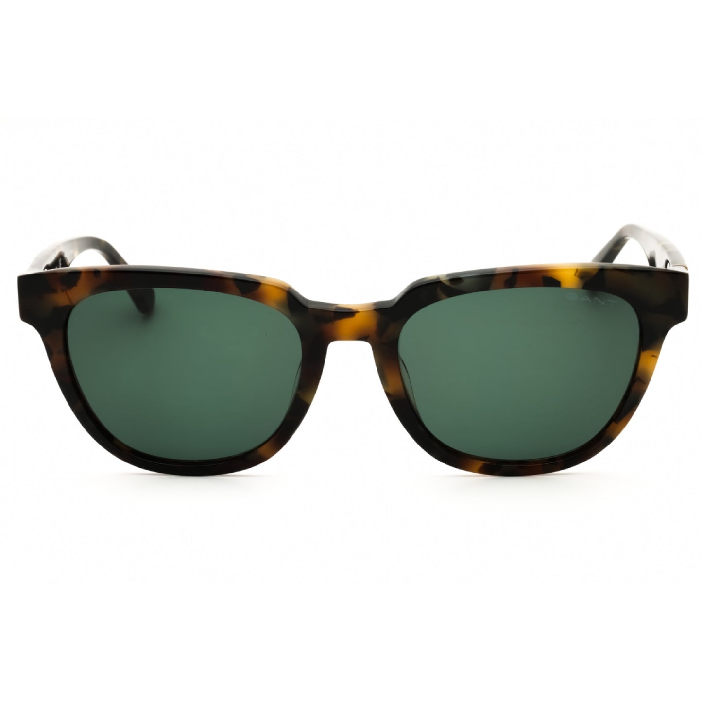 Lentes de Sol Gant GA7192 53N 55-20-145