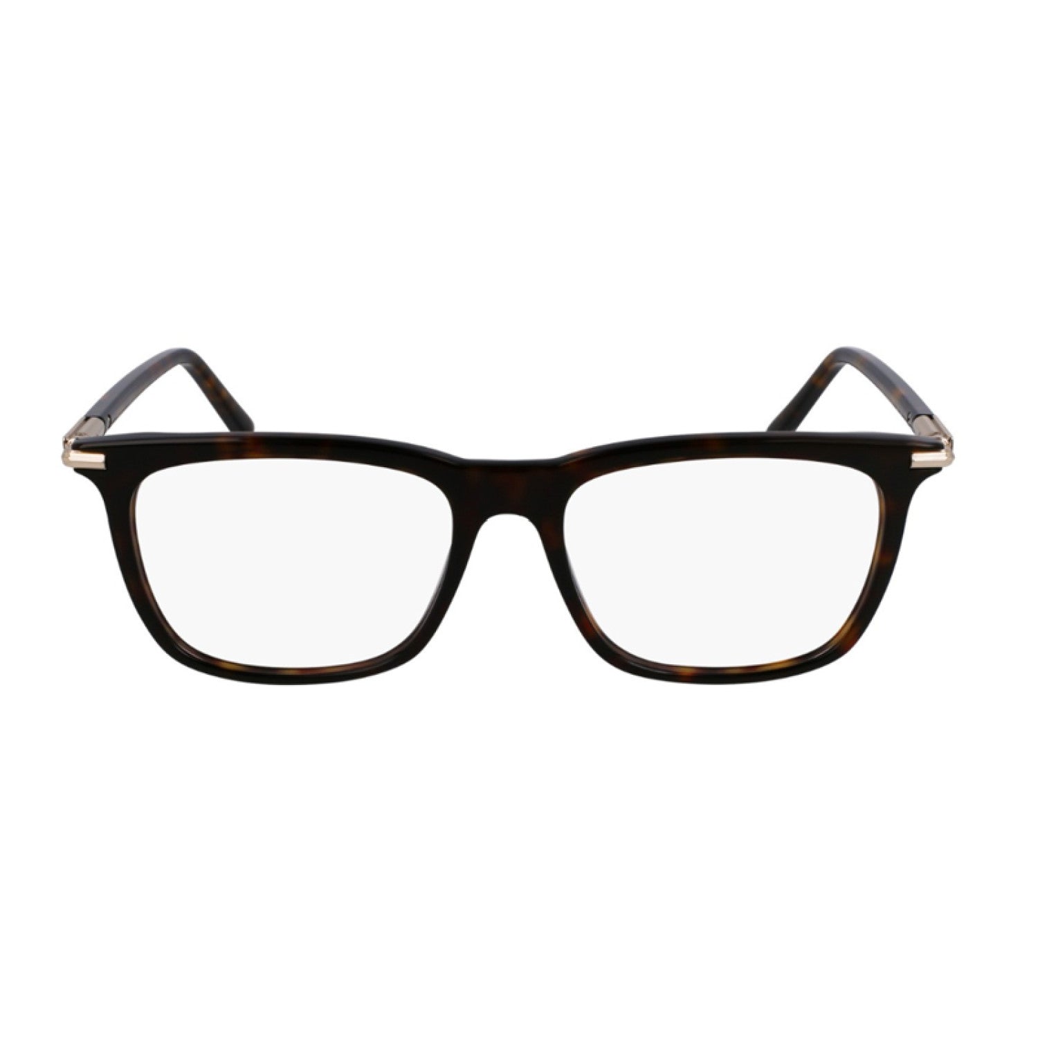 Armazón Oftálmico Salvatore Ferragamo SF3007 242 53-17-145