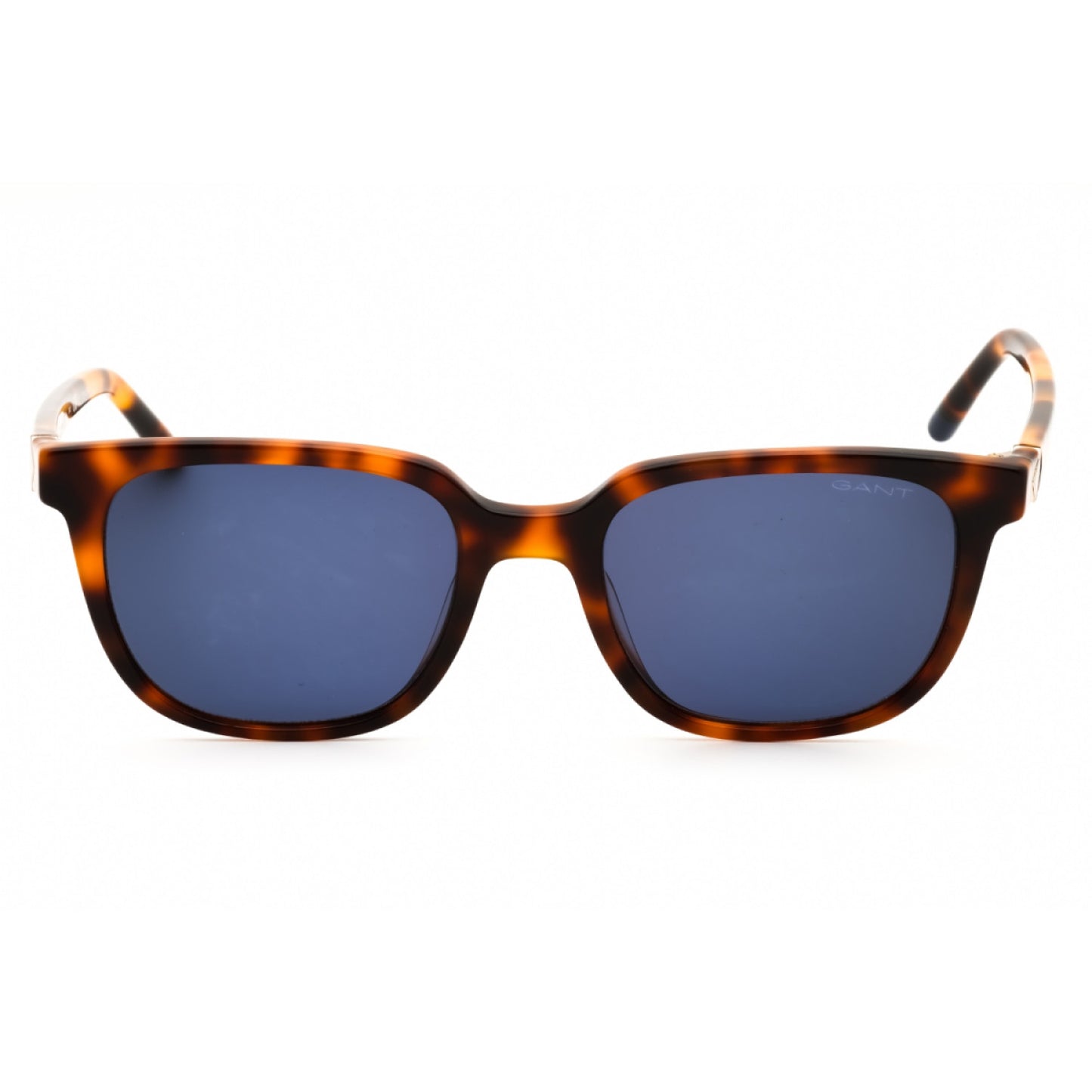 Lentes de Sol Gant GA7120 53V 53-20-145