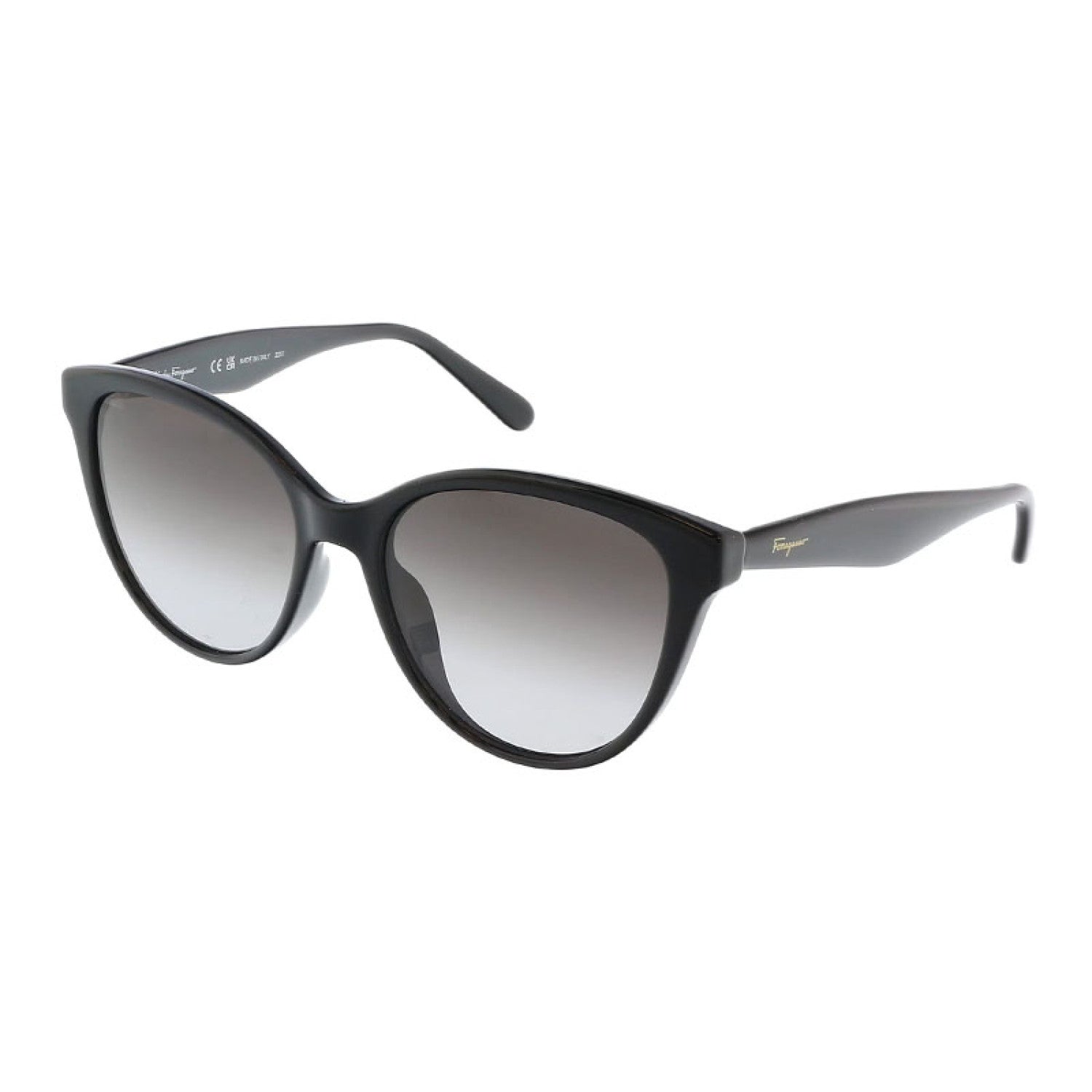 Lentes de Sol Salvatore Ferragamo SF1073S 001 54-17-140