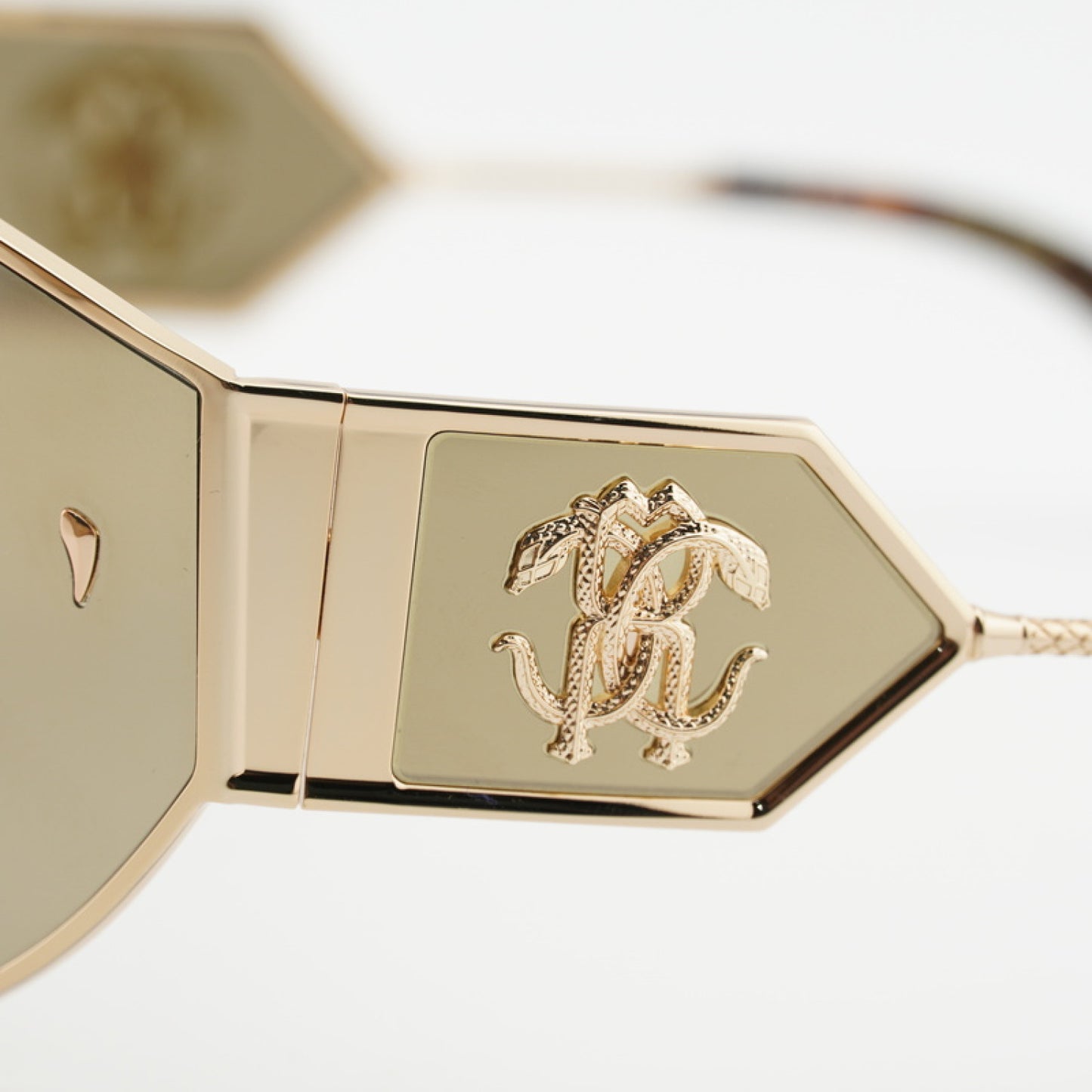 Lentes de Sol Roberto Cavalli SRC093 300G 76-11-145