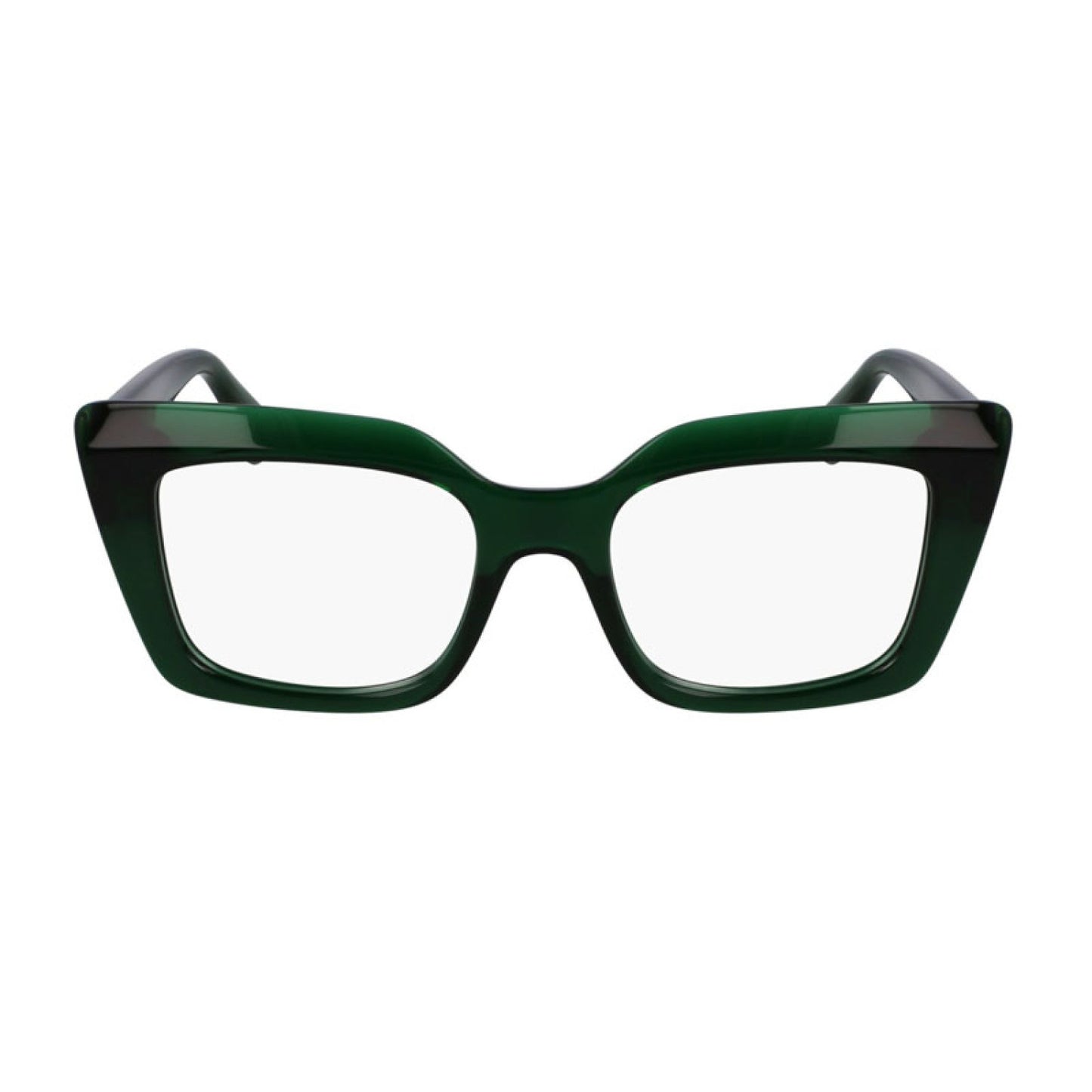 Salvatore Ferragamo Eyeglass Frame SF3008 317 50-19-140