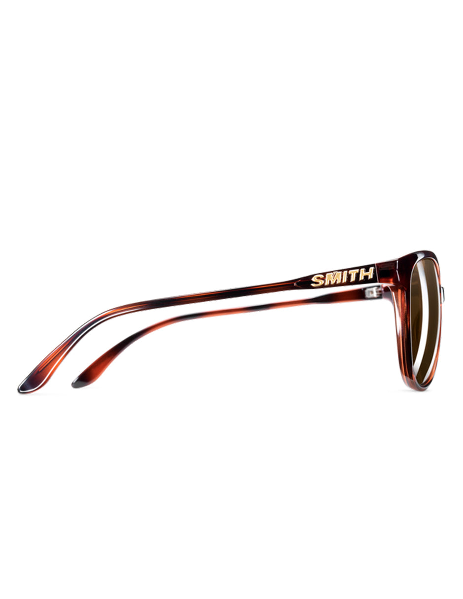 LENTES DE SOL SMITH CHEETAH TORTOISE 8YX 54MM