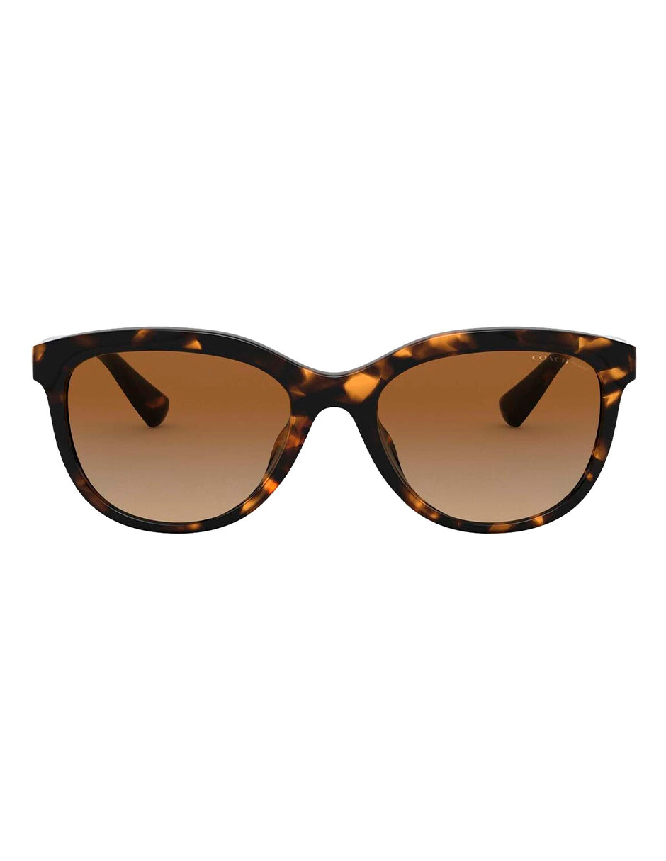 LENTES DE SOL COACH HC8285U 512013 53MM