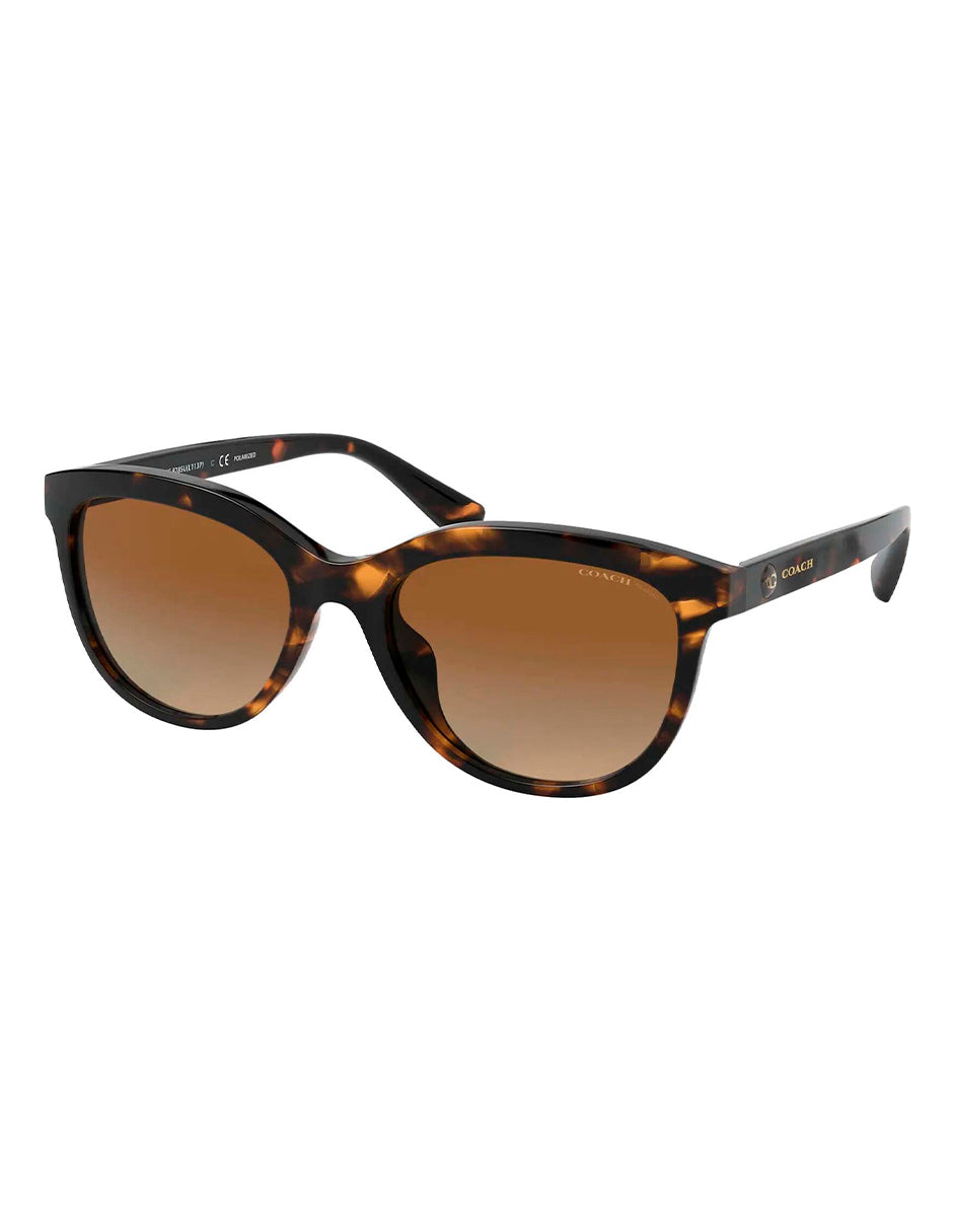 LENTES DE SOL COACH HC8285U 512013 53MM