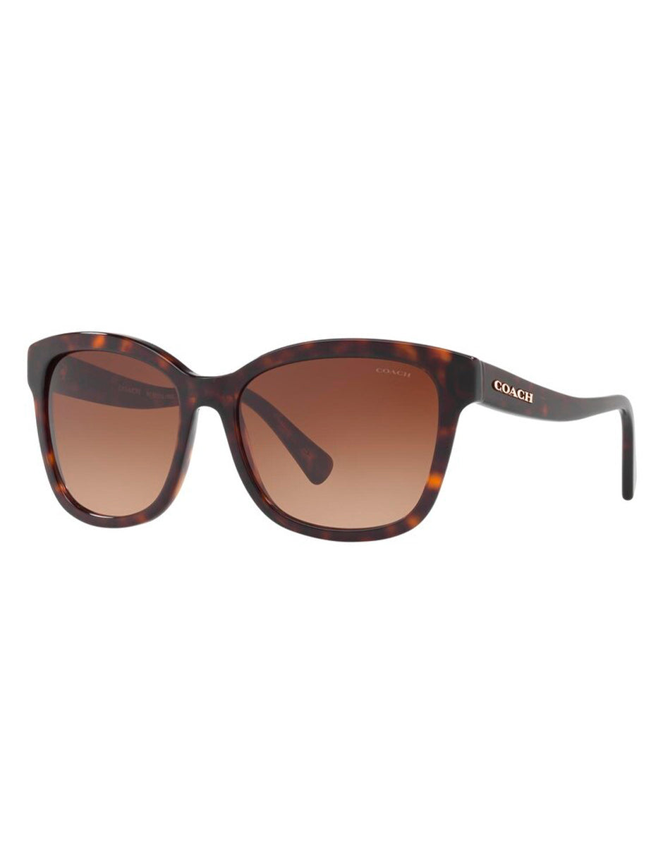 LENTES DE SOL COACH HC8219 512013 56MM