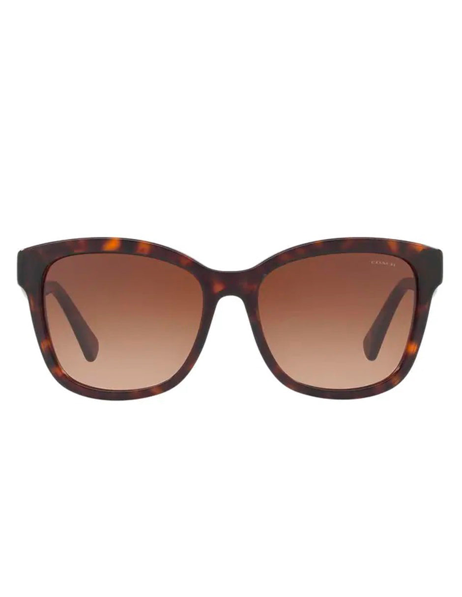 LENTES DE SOL COACH HC8219 512013 56MM