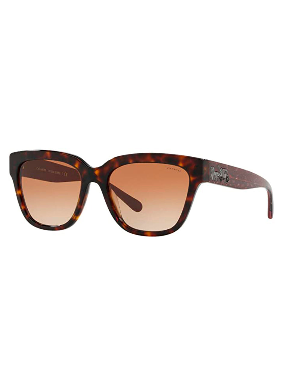 LENTES DE SOL COACH HC8262 512013