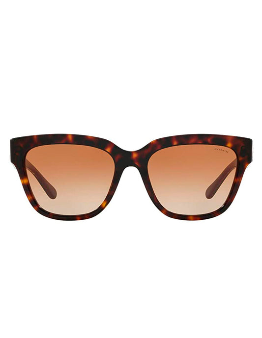 LENTES DE SOL COACH HC8262 512013