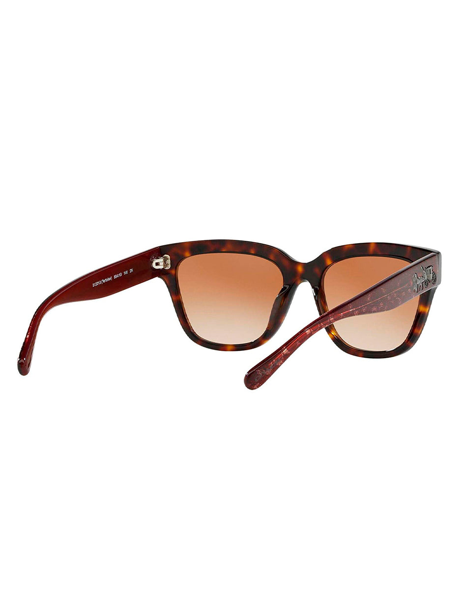 LENTES DE SOL COACH HC8262 512013