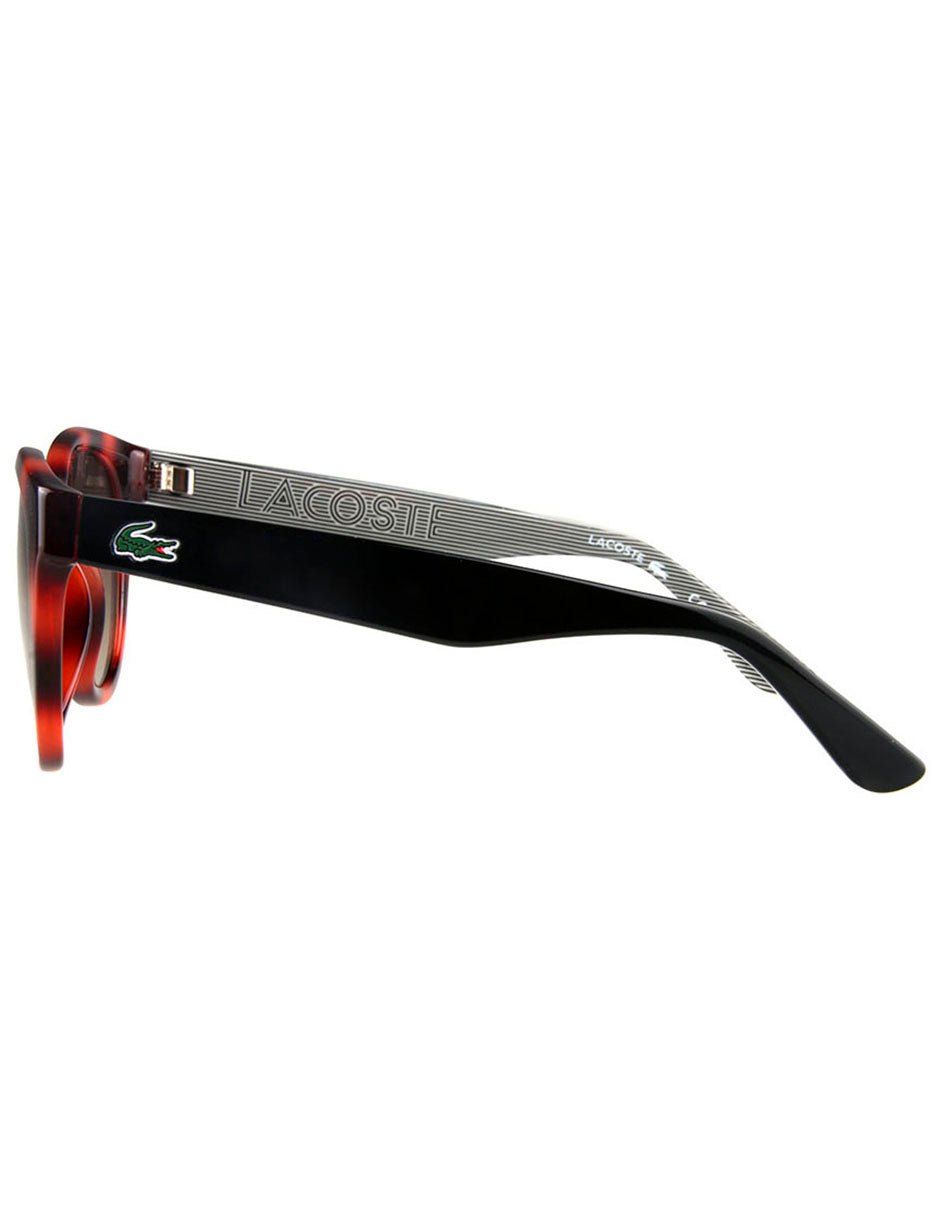 LENTE DE SOL LACOSTE L788S 214 52MM MARRÓN OSCURO